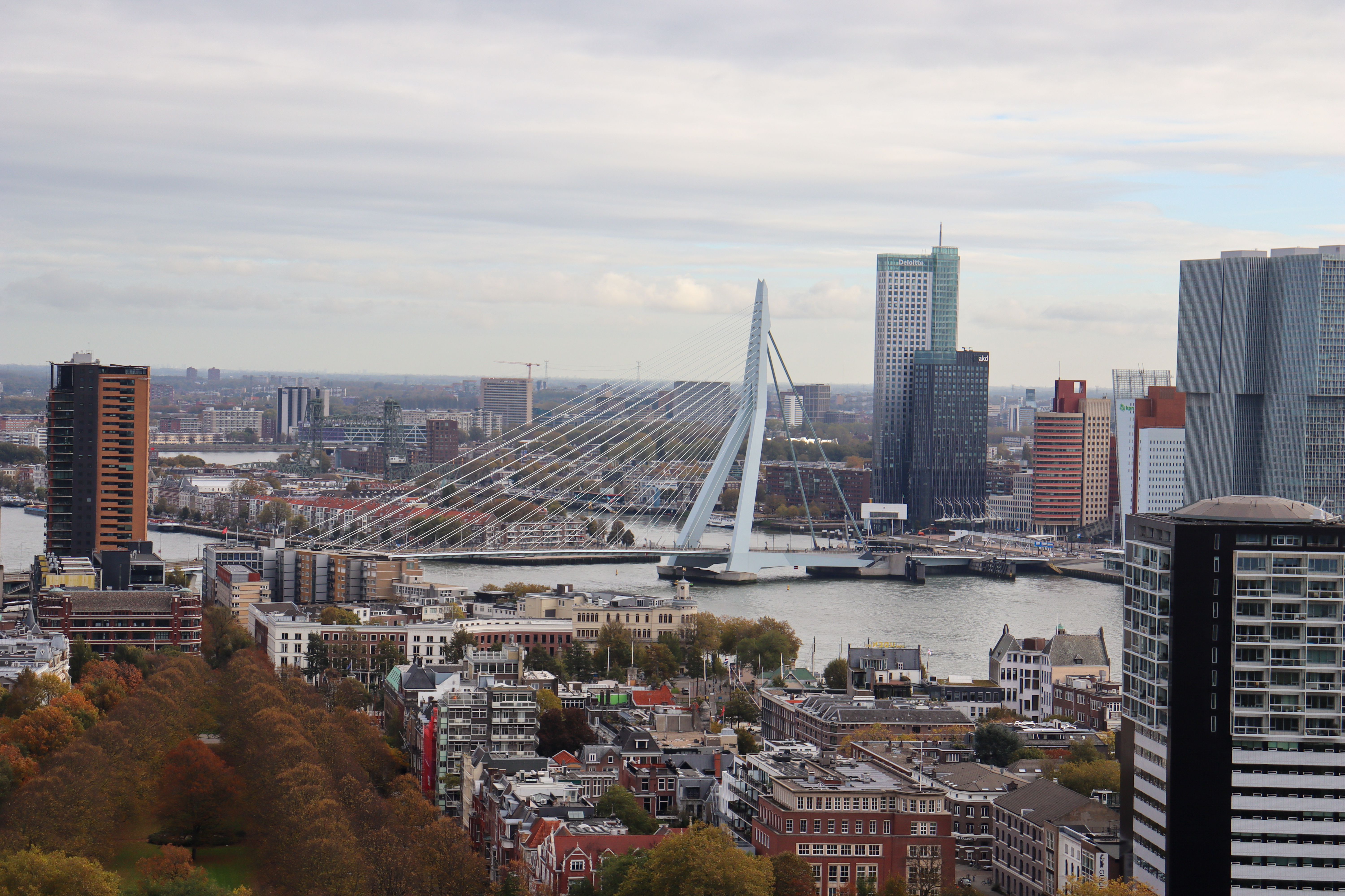 Birds eye view of Erasmus bridge which has a white tower and white cables.