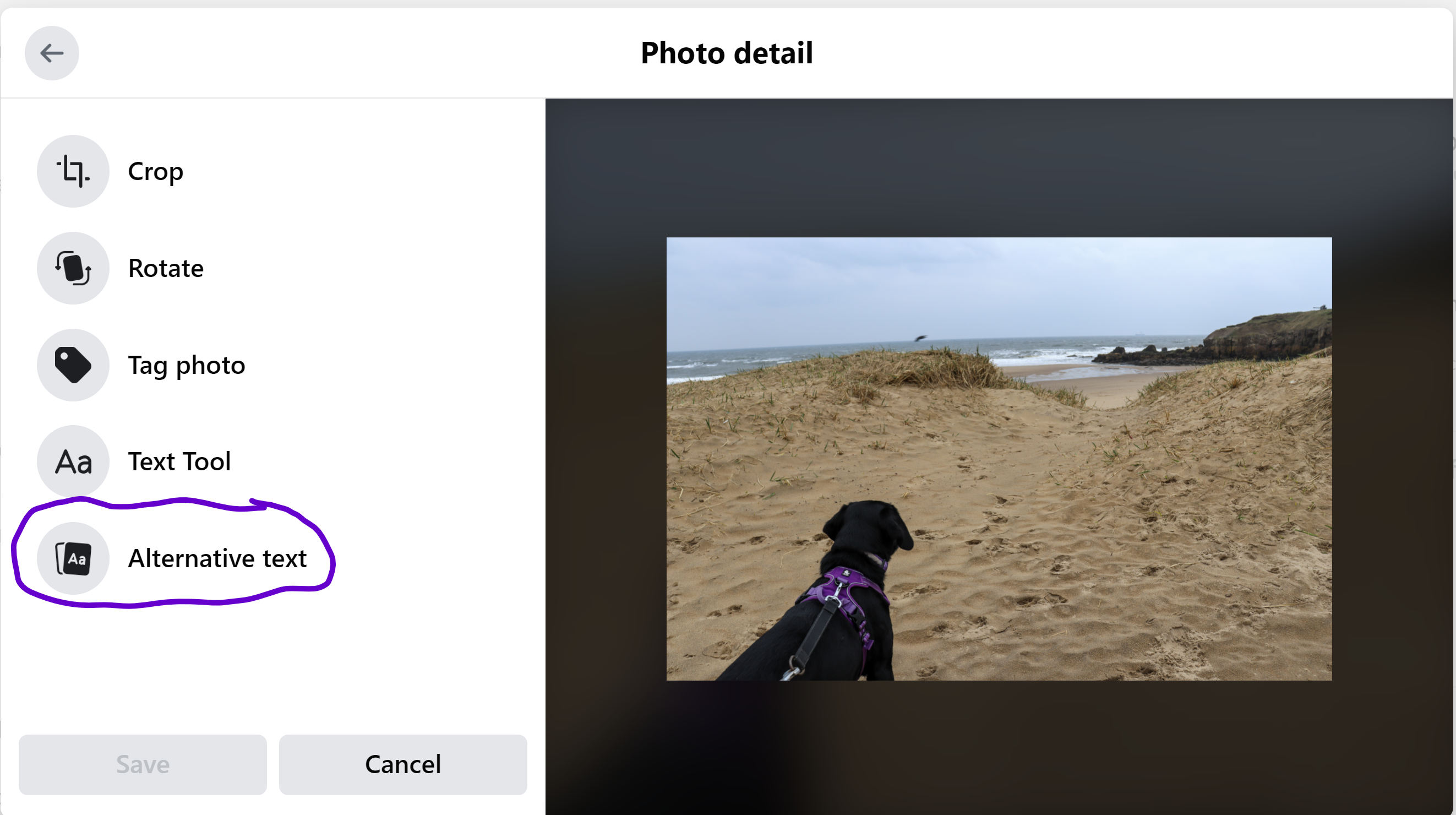 Screenshot of the photo detail box with alternative text circled.