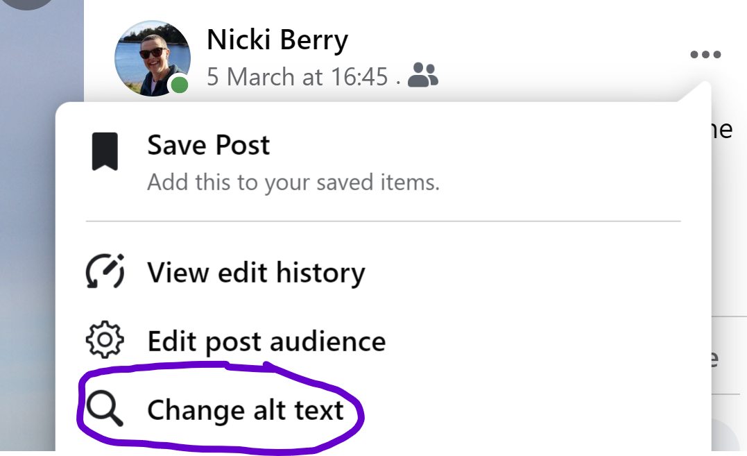 Screenshot of the actions for this post menu, with change alt text circled